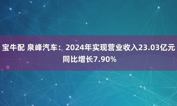 宝牛配 泉峰汽车：2024年实现营业收入23.03亿元 同比增长7.90%