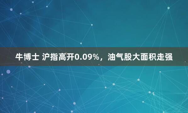 牛博士 沪指高开0.09%，油气股大面积走强