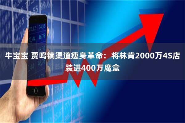 牛宝宝 贾鸣镝渠道瘦身革命：将林肯2000万4S店装进400万魔盒